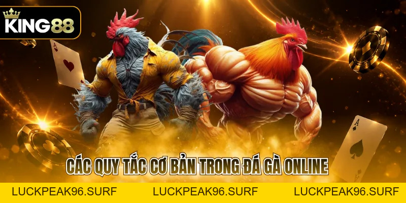 Đá Gà KING88 Hấp Dẫn Với Nhiều Đấu Trường Kịch Tính - luckpeak96.surf