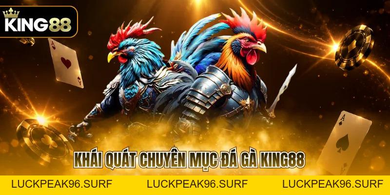 Đá Gà KING88 Hấp Dẫn Với Nhiều Đấu Trường Kịch Tính - luckpeak96.surf