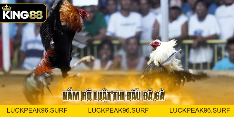 Đá Gà Cựa Dao C1 Với Các Quy Tắc Quan Trọng Cần Ghi Nhớ - luckpeak96.surf