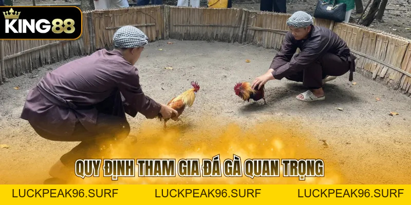 Trực Tiếp Đá Gà 167 Với 3 Mẹo Chinh Chiến Hiệu Quả - luckpeak96.surf
