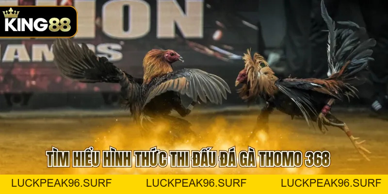 Đá Gà Thomo 368 Và Quy Định Cần Biết Trước Khi Tham Gia - luckpeak96.surf