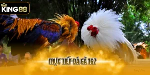 KING88 king88🎖️Trang Chủ Chính Thức KING88.COM Mới Nhất - luckpeak96.surf